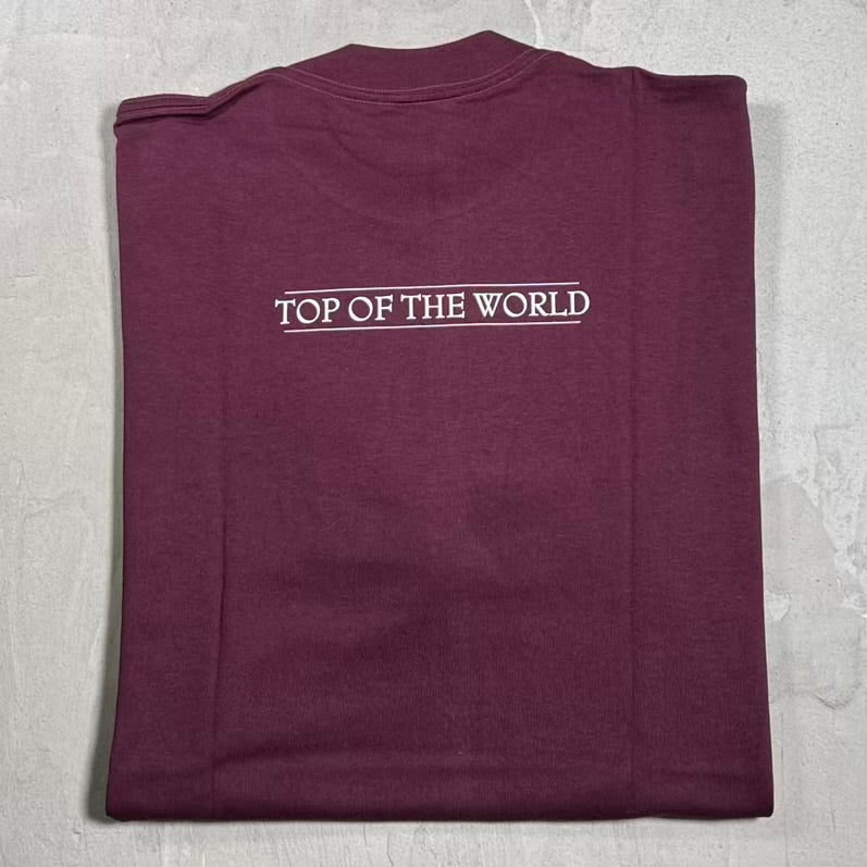 Supreme SSUR Top of The World (1999) Rust Purple Tee Size Large NEW x18541
