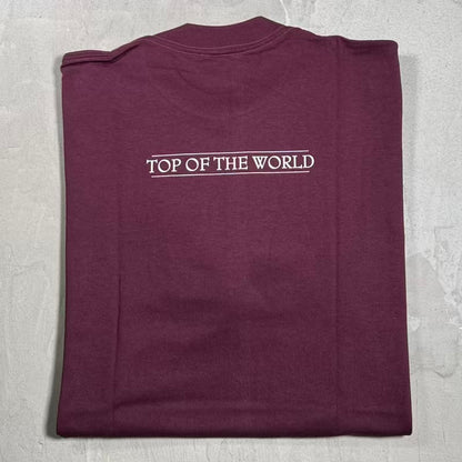 Supreme SSUR Top of The World (1999) Rust Purple Tee Size Large NEW x18541