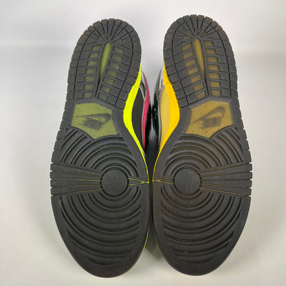 Nike Dunk Low What the Duck Home University of Oregon PE (2024) Size 10 USED s18661