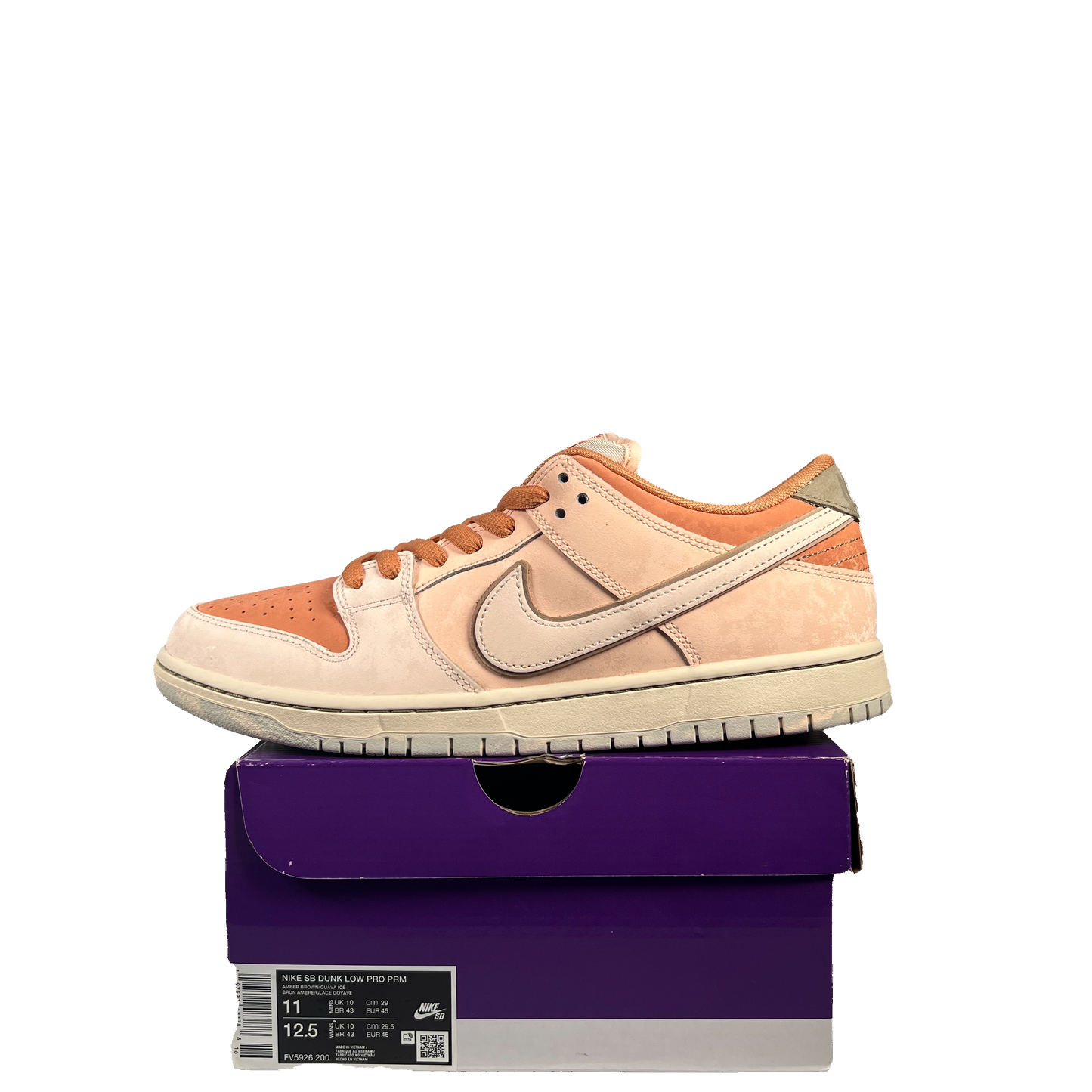 Nike SB Dunk Trocadéro Gardens (2024) Size 11 USED s20945