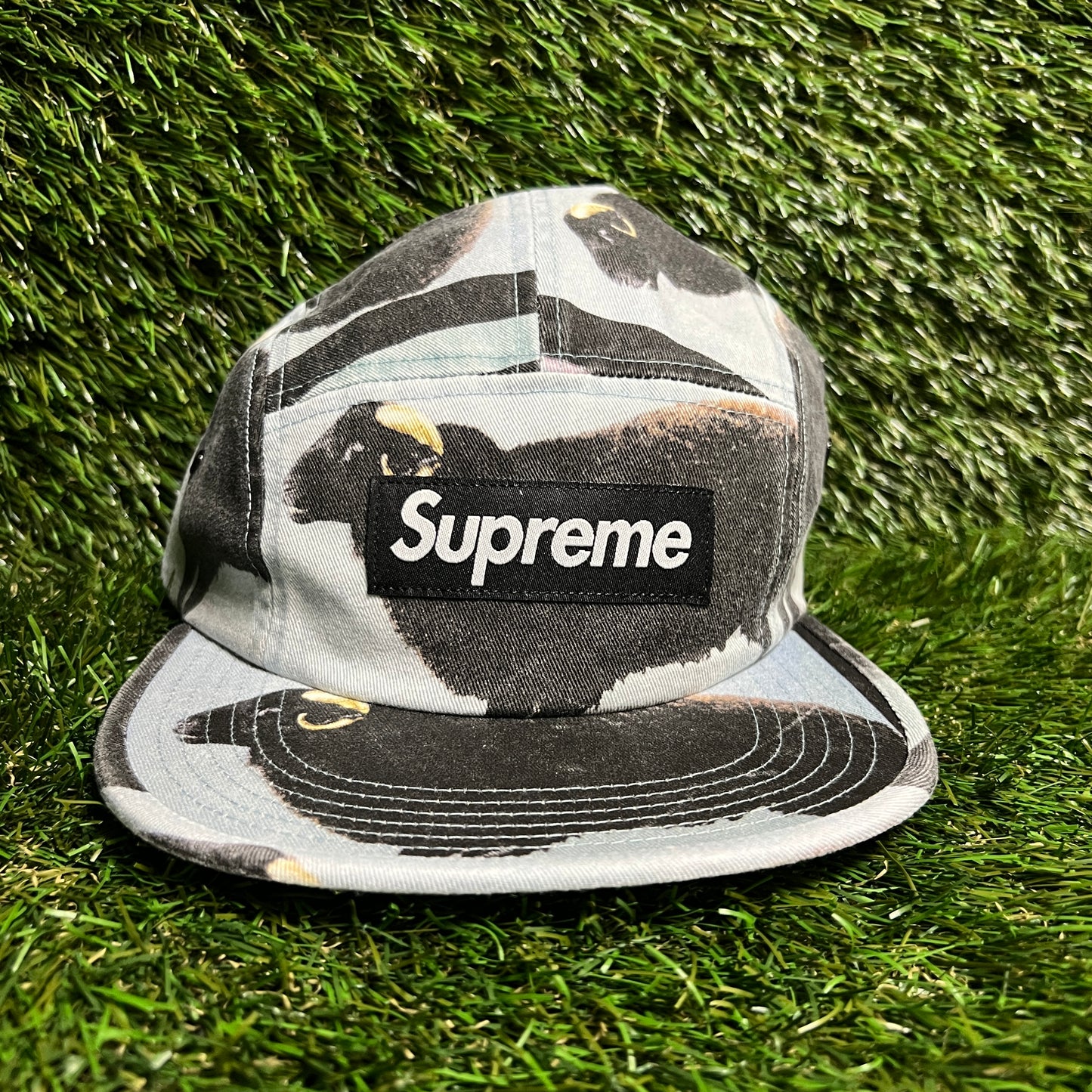 Supreme Damien Hirst Camp Bull Hat SIze One Size New x13434