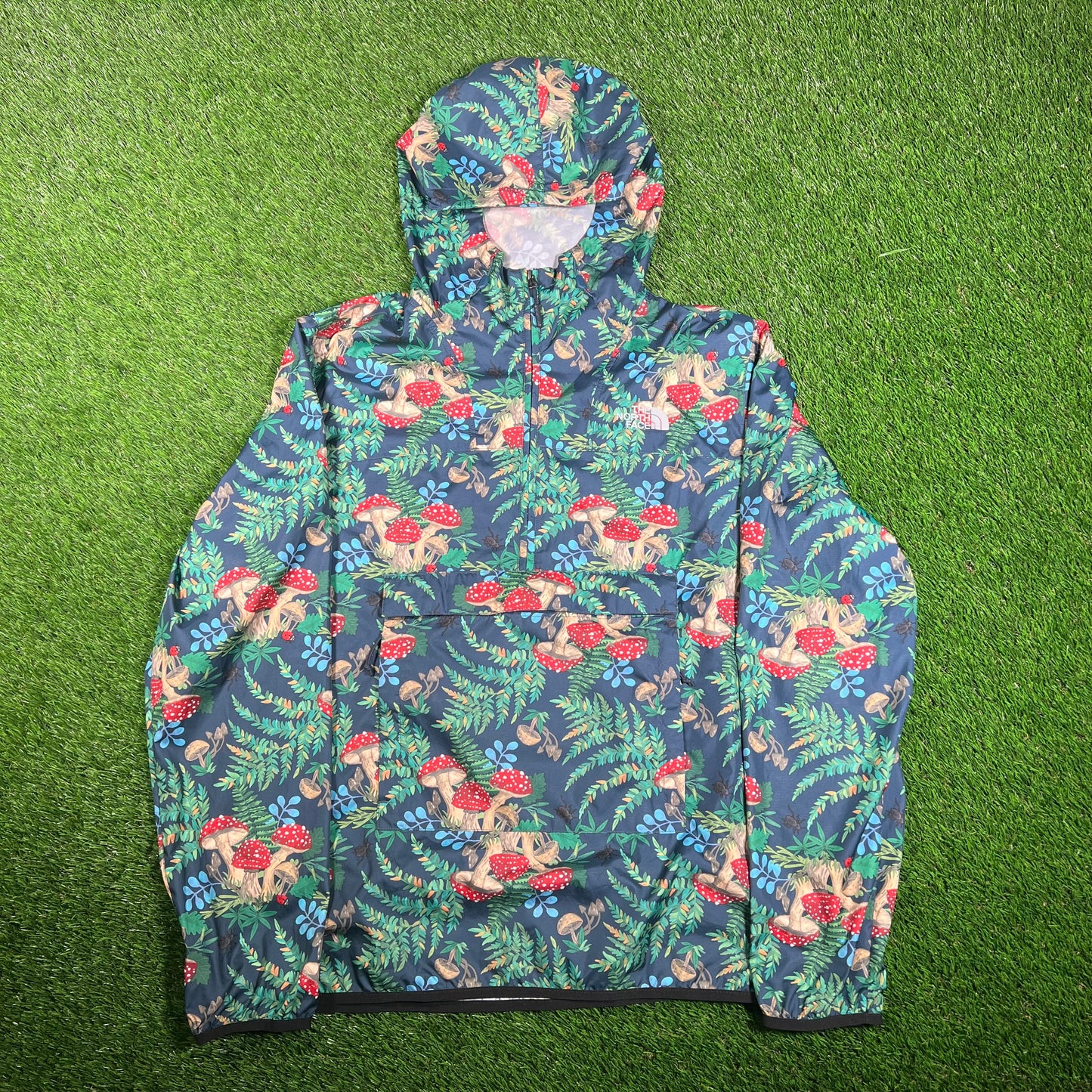 North Face 3 Fish Studios Mushroom Anorak Size Large USED v17969