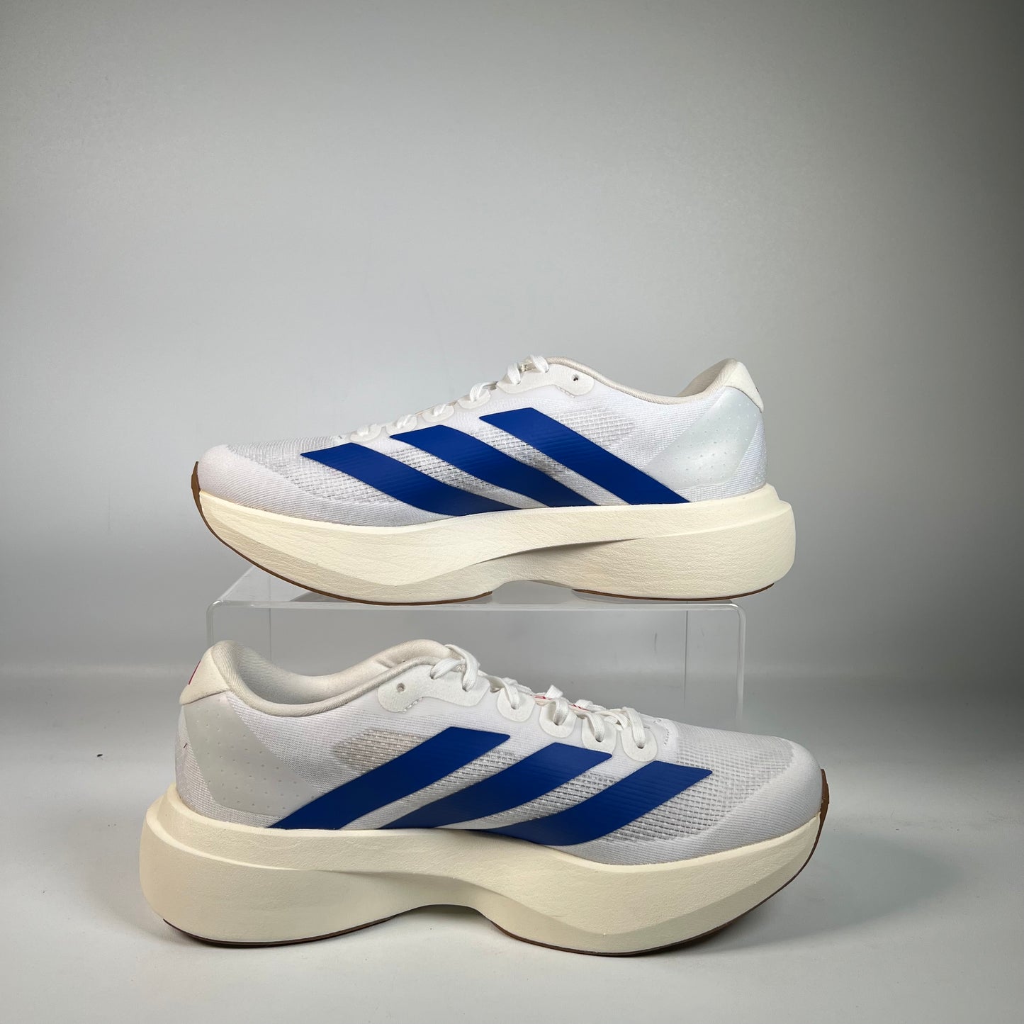 Adidas Adizero Evo SL White Royal Blue (2025) Size 9 NEW s22540