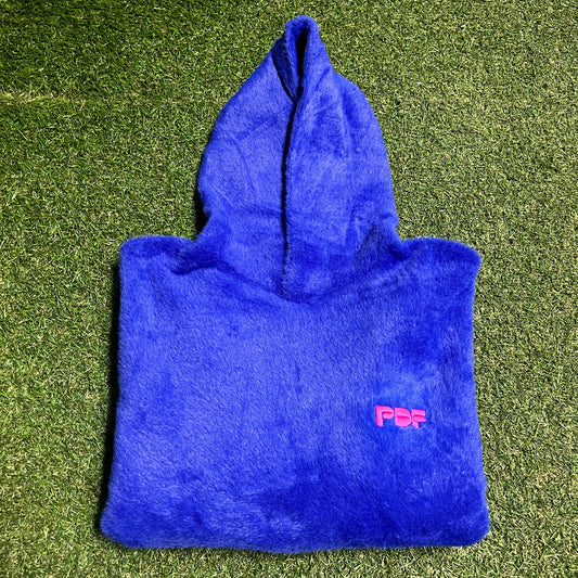 PRJ DMN FRM PDF Blue Hoodie Size Medium USED x14150