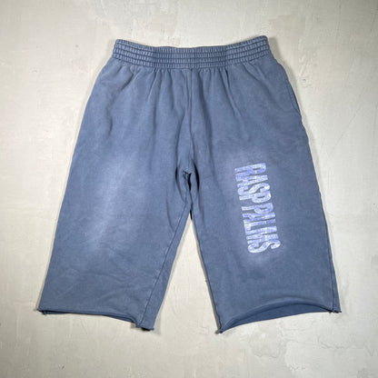 GV Gallery Raspberry Hills Palms Washed Blue Baggie Shorts Size Small USED x17535