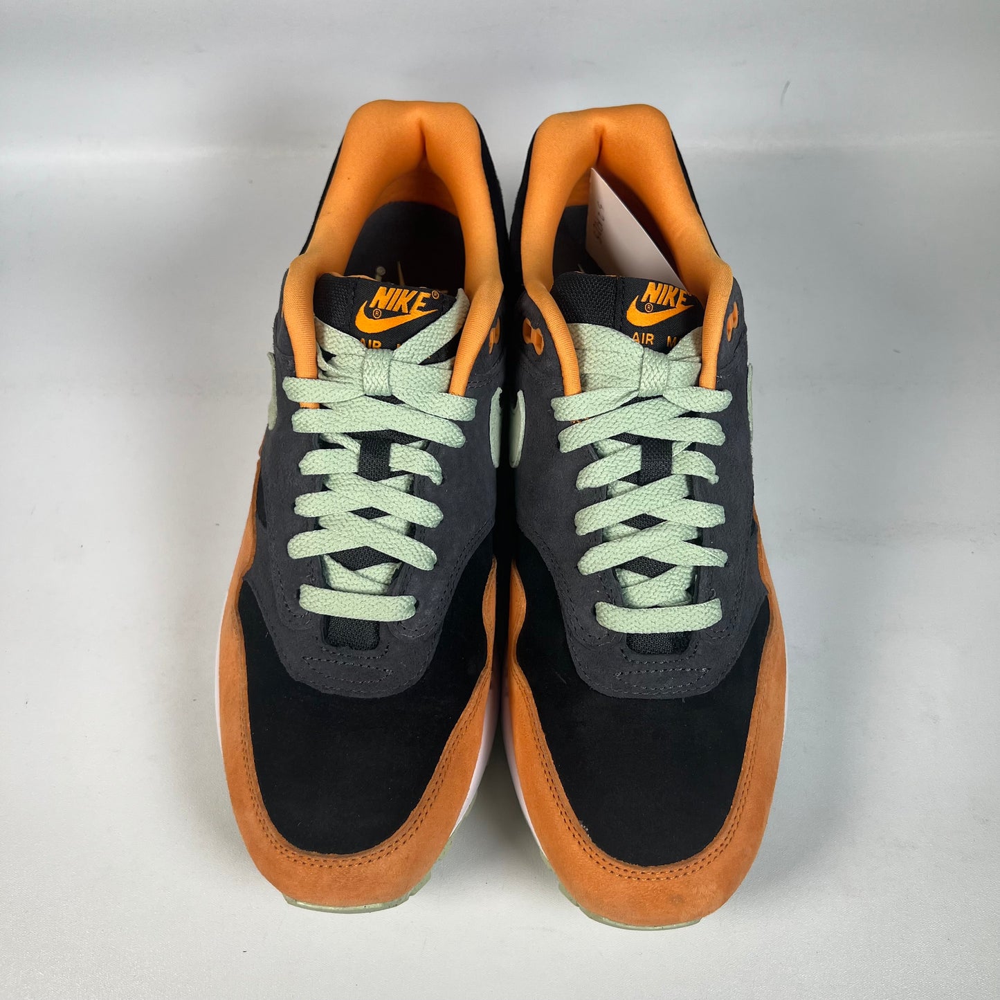 Nike Air Max 1 Duck Honey Dew (2022) Size 9.5 NEW s21925