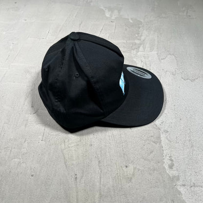GV Gallery Raspberry Hills Berry 2013 Black Hat USED x18557