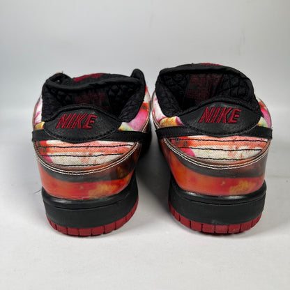 Nike SB Dunk Low Pushead 1 (2005) Size 7.5 USED s20621