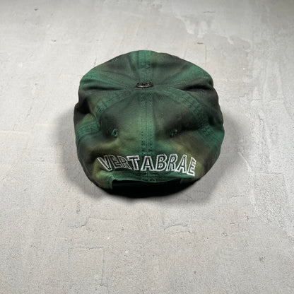Vertebrae Distressed Green Hat USED x17393