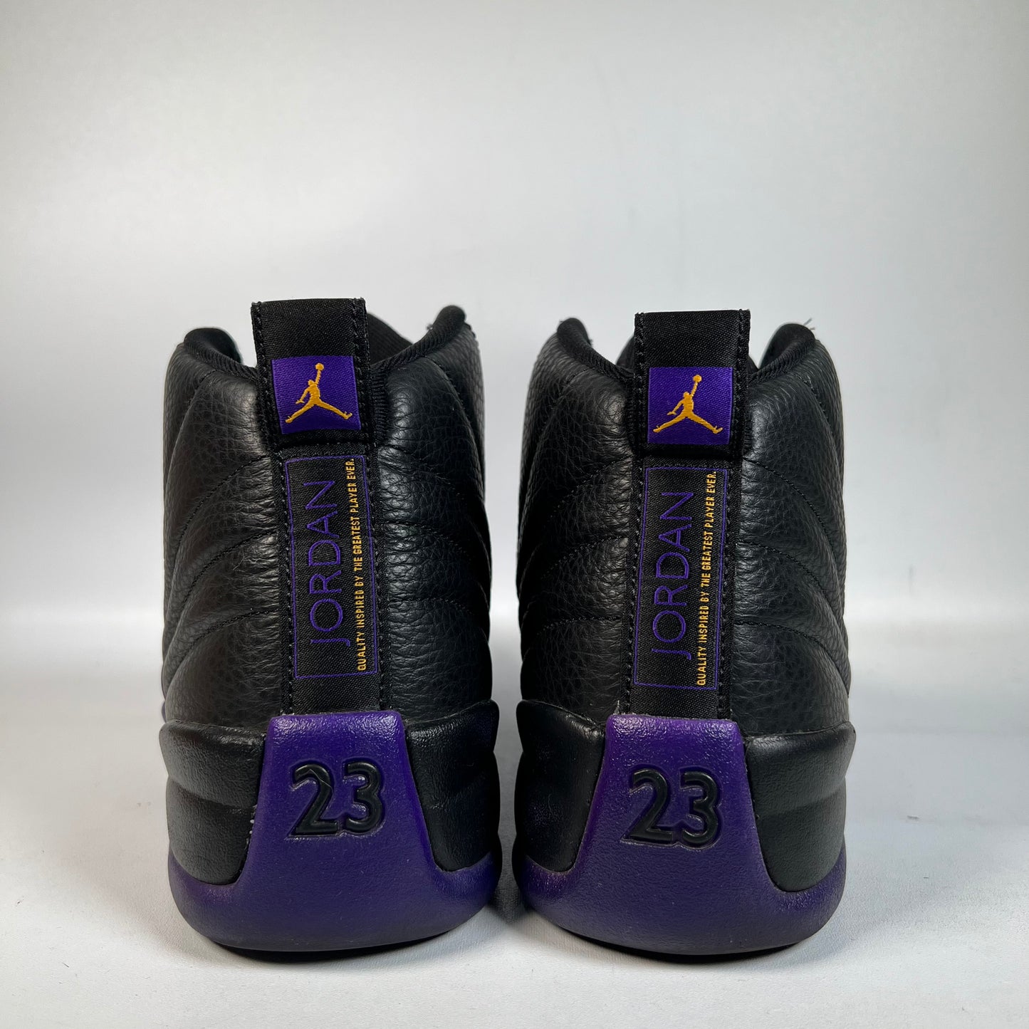 Jordan 12 Field Purple (2023) Size 9 USED s22866