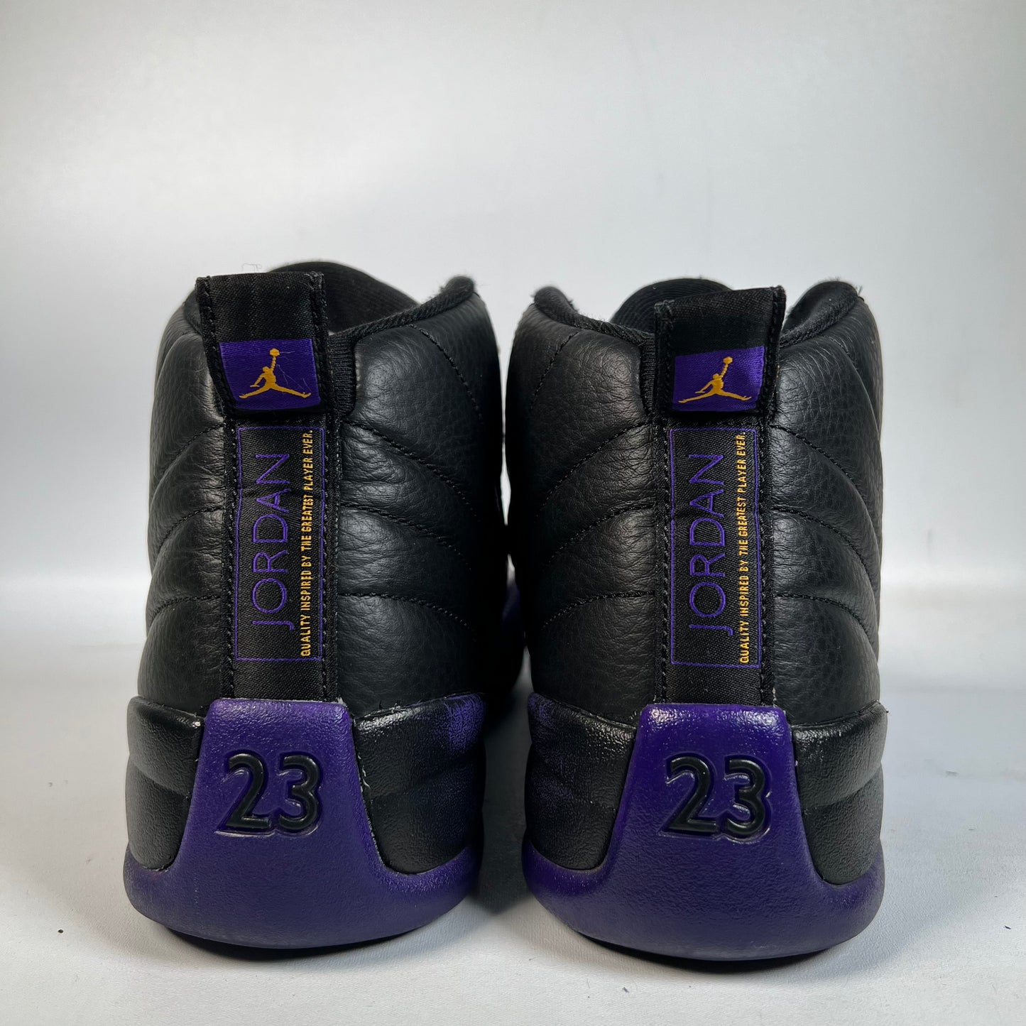 Jordan 12 Field Purple (2023) Size 10 USED s22885