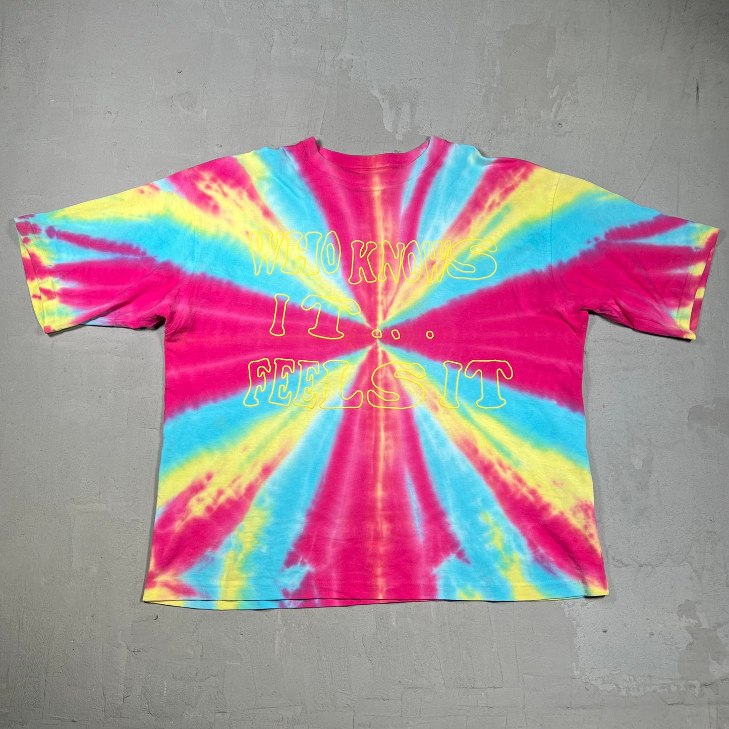 CPFM "Who Knows It Feels It" Tie Dye Shirt Size 4 (XL) USED x18228