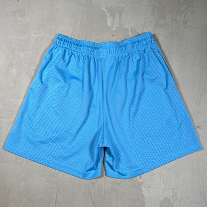 Eric Emanuel EE UNC Blue Shorts Size Medium USED x18209