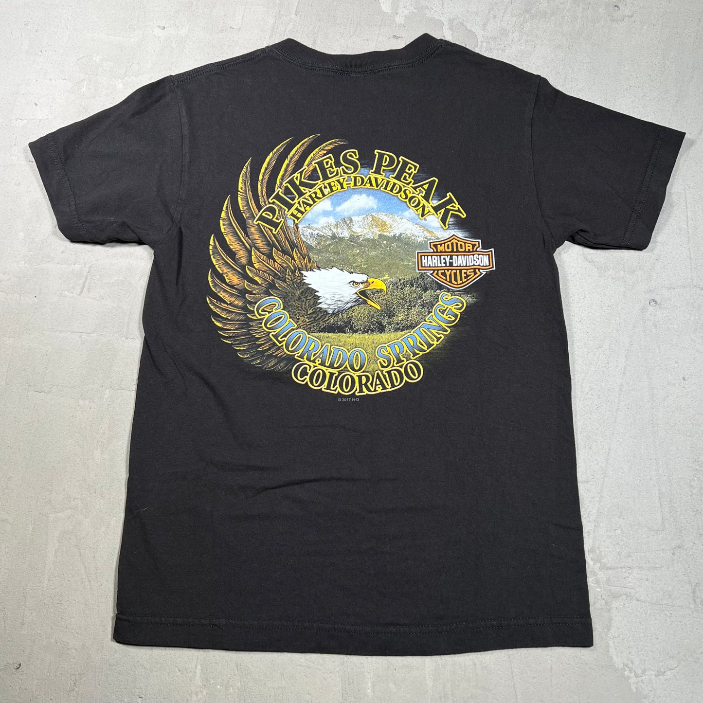 2017 Harley Davidson Black "I Got Mine" tee Size Small USED v19954