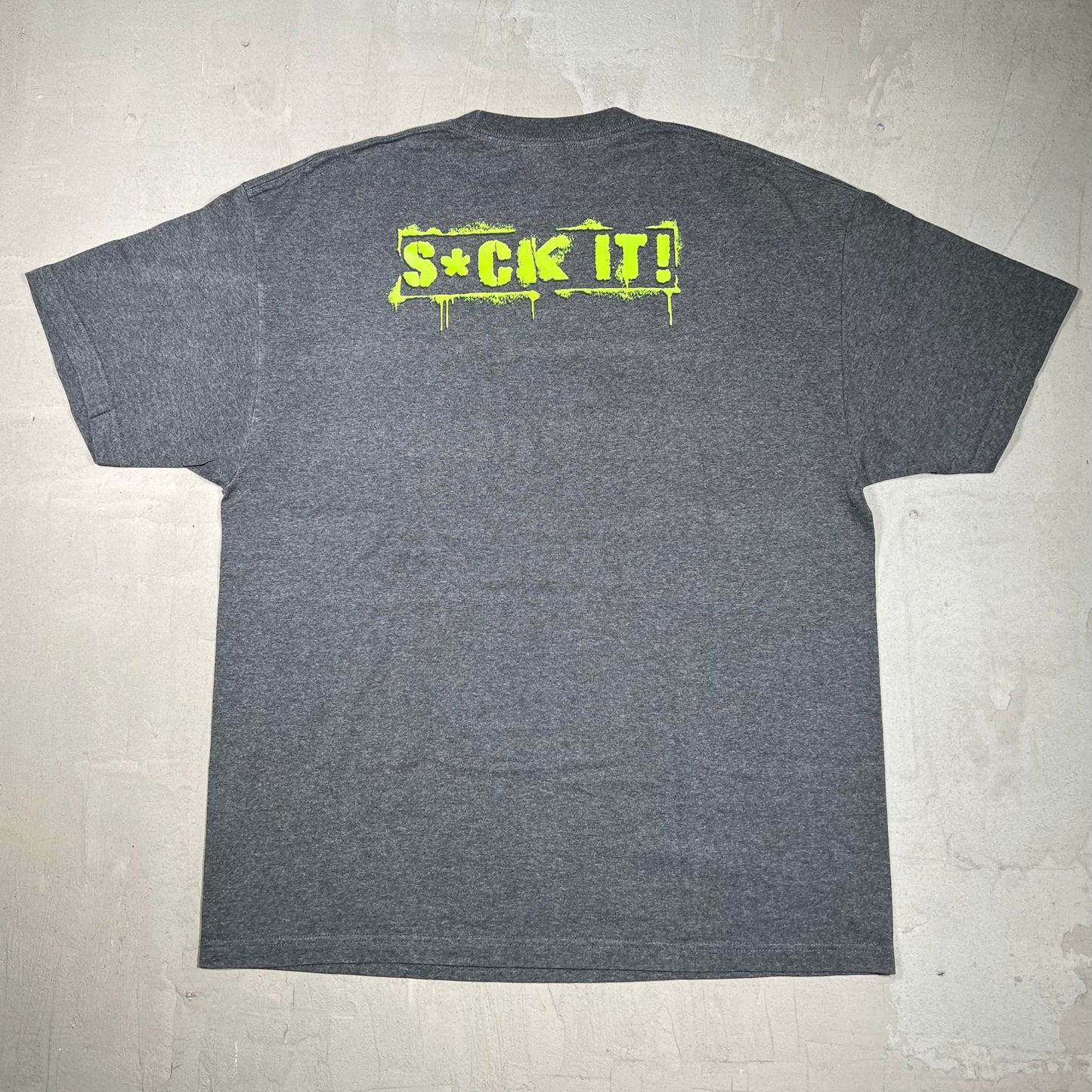 2007 WWE DX "Suck It" Grey Tee Size XL USED v20042