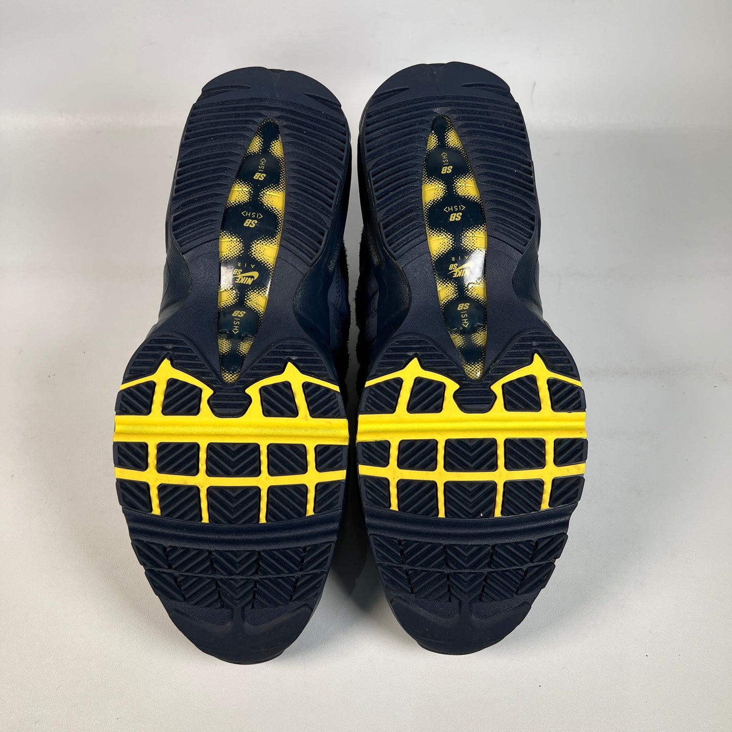 Nike Air Max 95 SB Eric Koston Obsidian Speed Yellow (2025) Size 9.5 USED s22705
