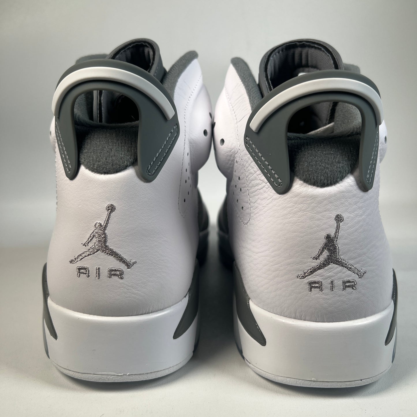 Jordan 6 Cool Grey (2023) Size 10.5 NEW s22744