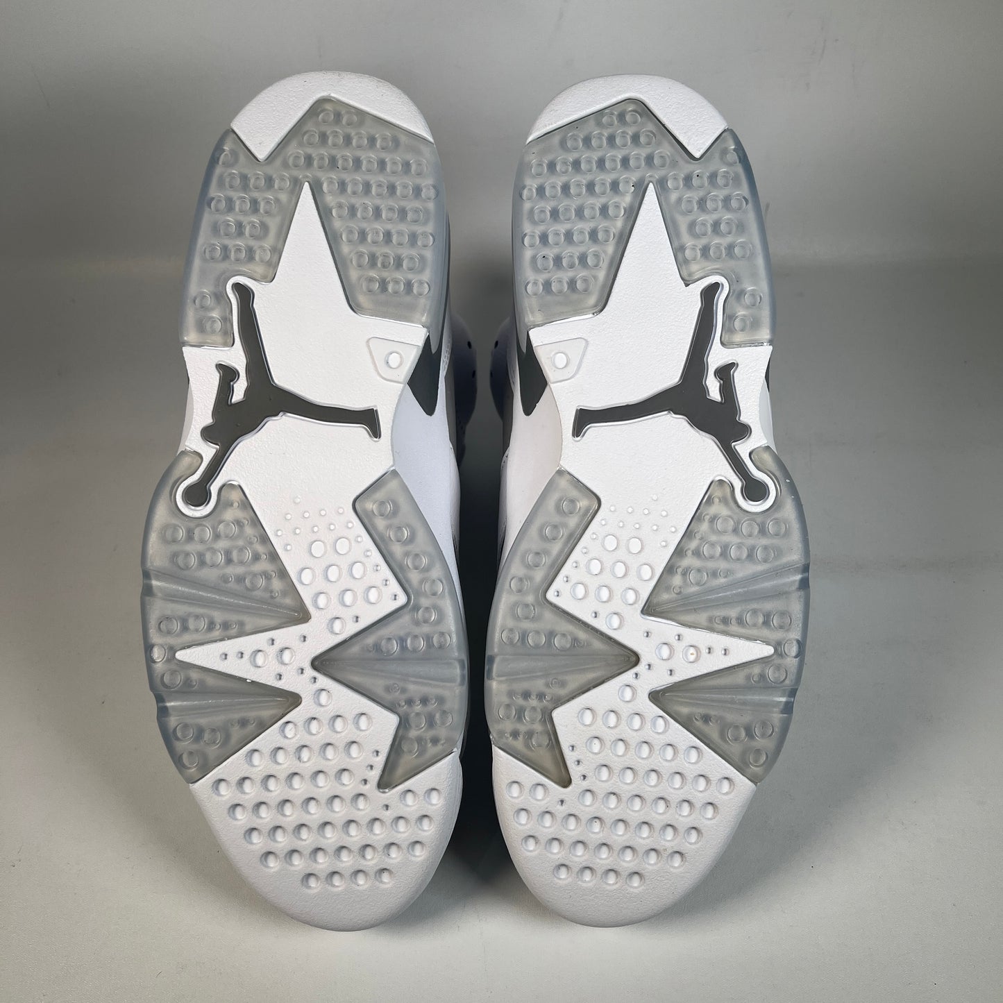 Jordan 6 Cool Grey (2023) Size 10.5 NEW s22744