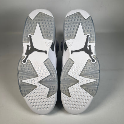 Jordan 6 Cool Grey (2023) Size 10.5 NEW s22744