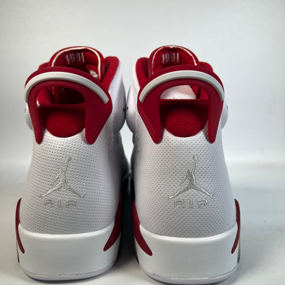 Jordan 6 Alternate Hare (2017) Size 11.5 NEW s22764