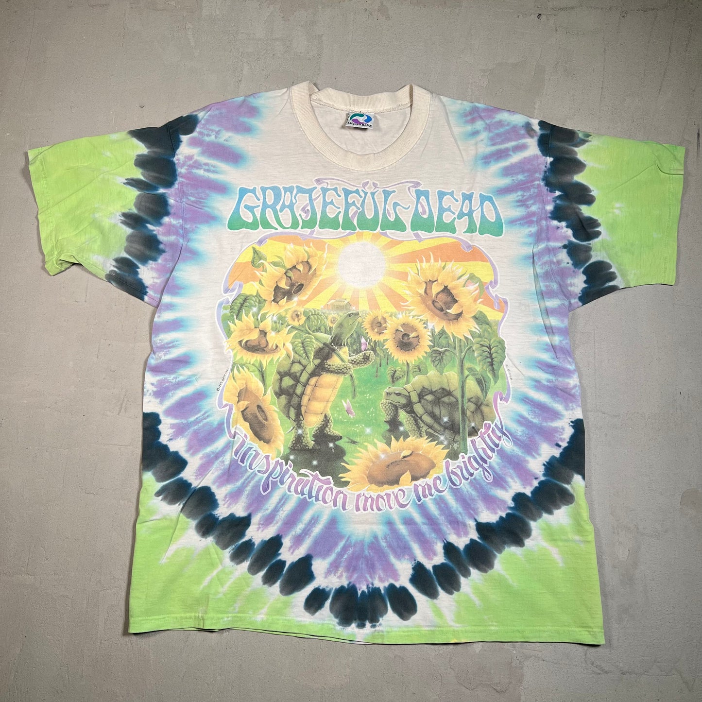 1995 Grateful Dead Summer Tour Turtles Tie Dye Tee Size XL USED v16348