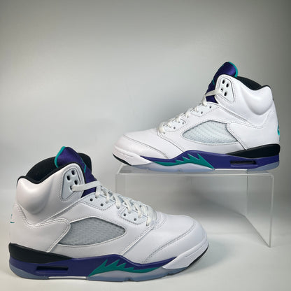 Jordan 5 Grape (2025) Size 9.5 USED s22965