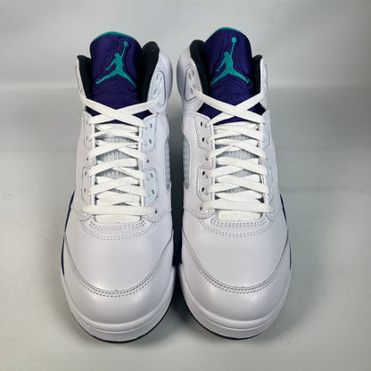 Jordan 5 Grape (2025) Size 9.5 USED s22965