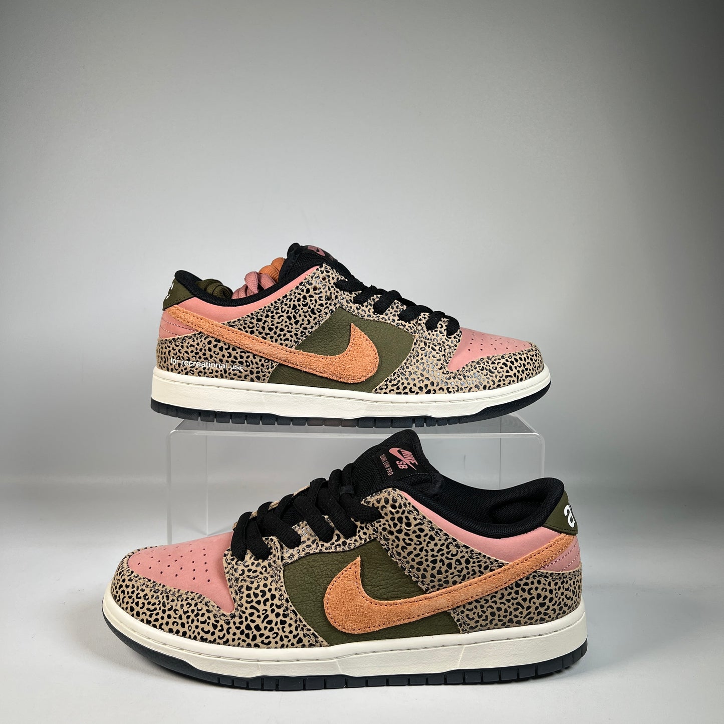 Nike SB Dunk Art Rec (2025) Size 10 NEW s23122