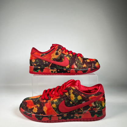 Nike SB The Wizard Of Oz Poppy Field (2024) Size 10 NEW s23125