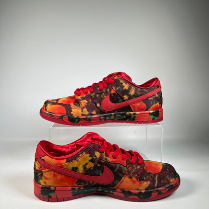 Nike SB The Wizard Of Oz Poppy Field (2024) Size 10 NEW s23125