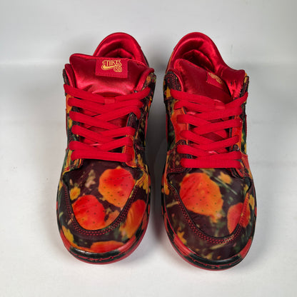 Nike SB The Wizard Of Oz Poppy Field (2024) Size 10 NEW s23125