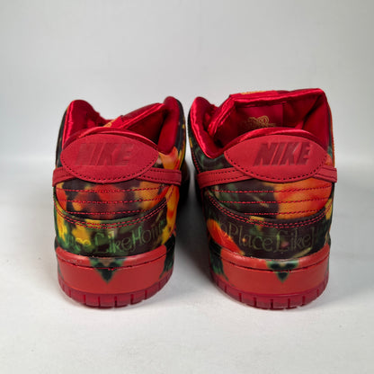 Nike SB The Wizard Of Oz Poppy Field (2024) Size 10 NEW s23125