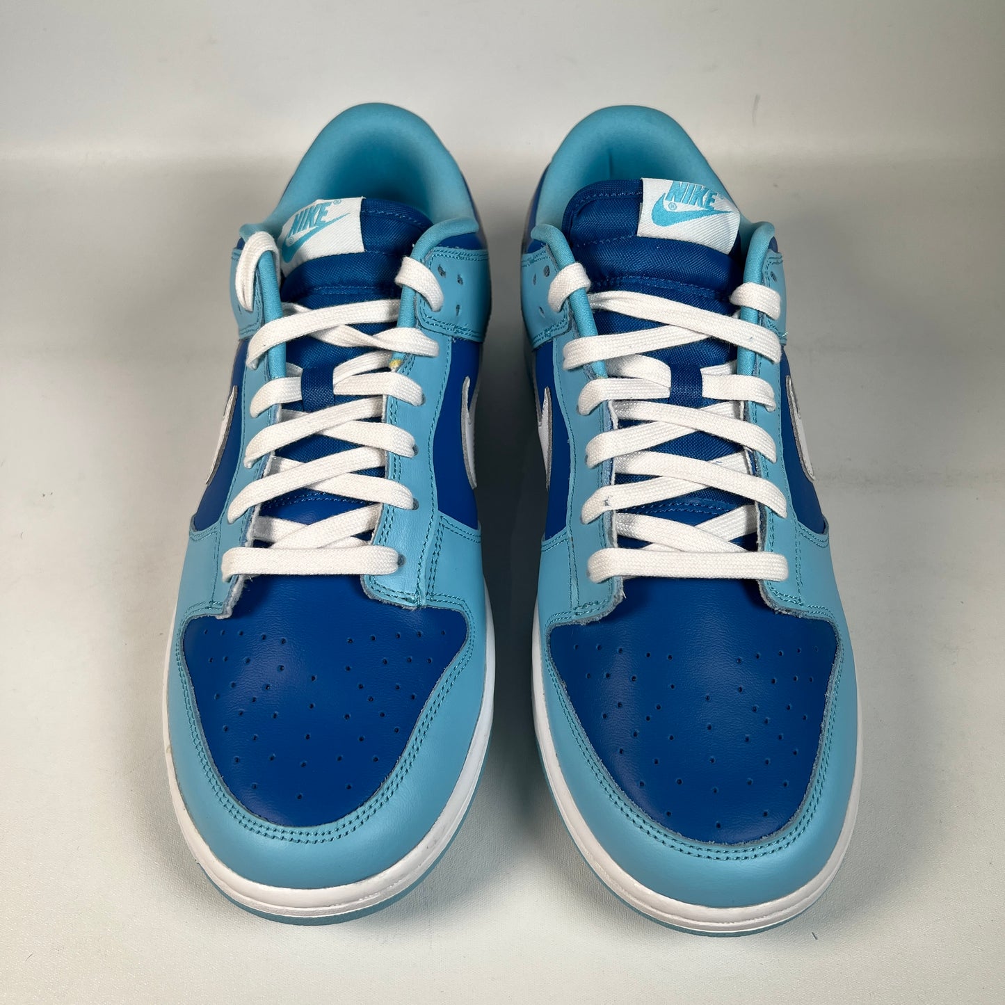 Nike Dunk Argon (2022) Size 10.5 NEW s23121