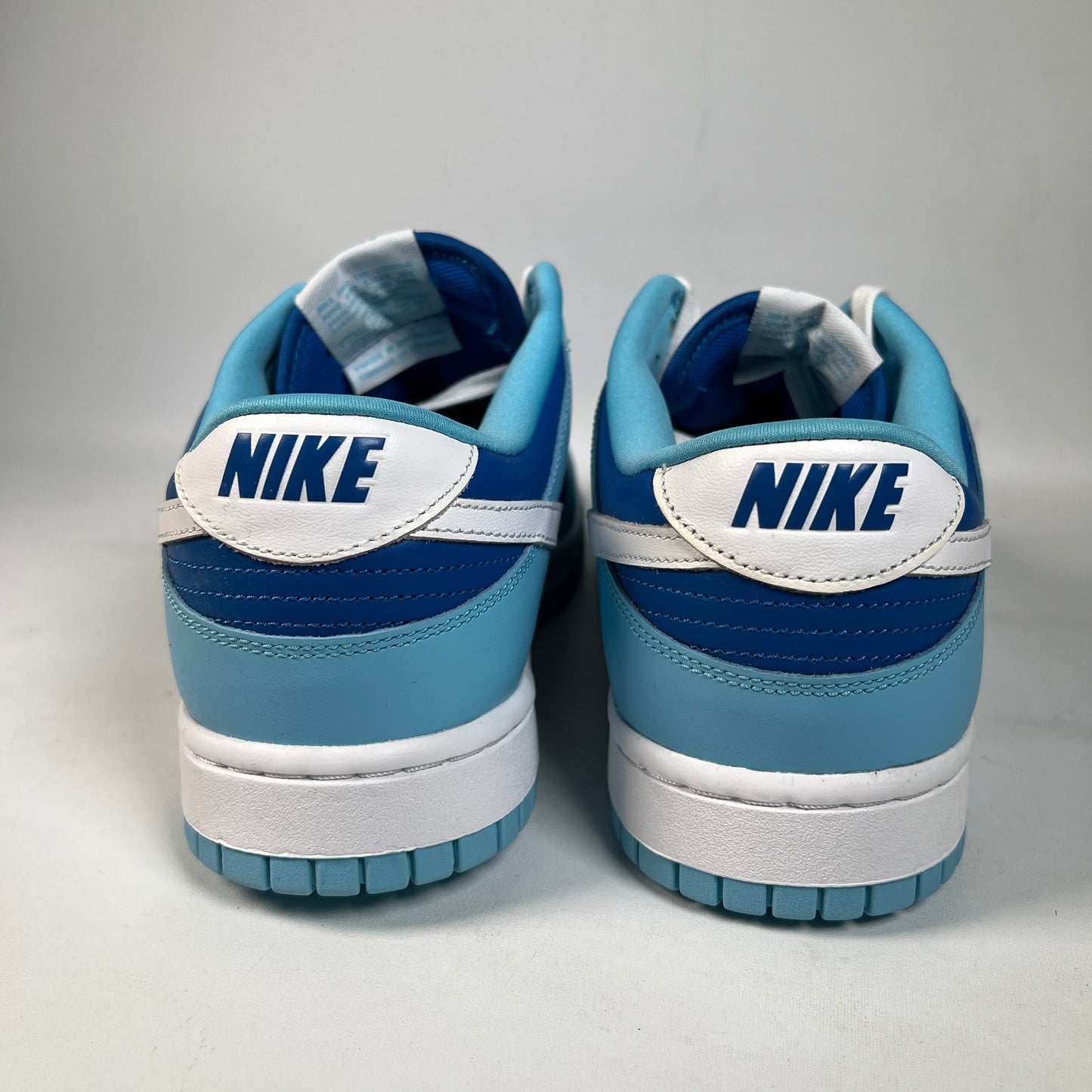Nike Dunk Argon (2022) Size 10.5 NEW s23121