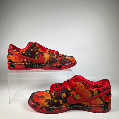 Nike SB Dunk Low Wizard of Oz (2024) Size 10 NEW s23068