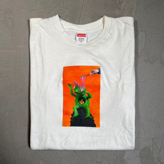 Supreme Mike Hill Brains White Tee Size Medium USED x17633