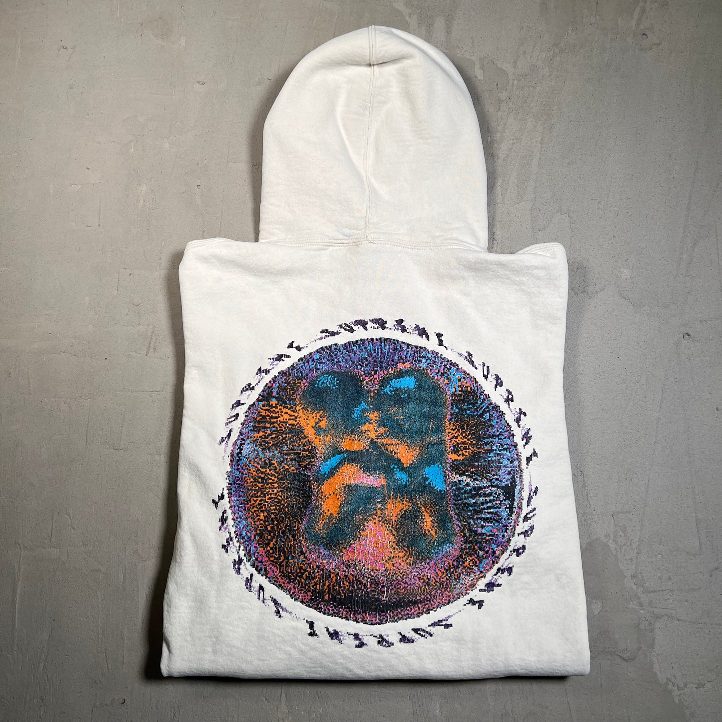 Supreme Embryo Hoodie White (2020) Size Large USED x17518