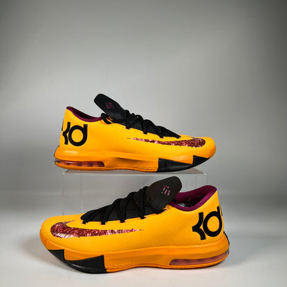 Nike KD 6 Peanut Butter & Jelly (2026) Size 10 USED s23141