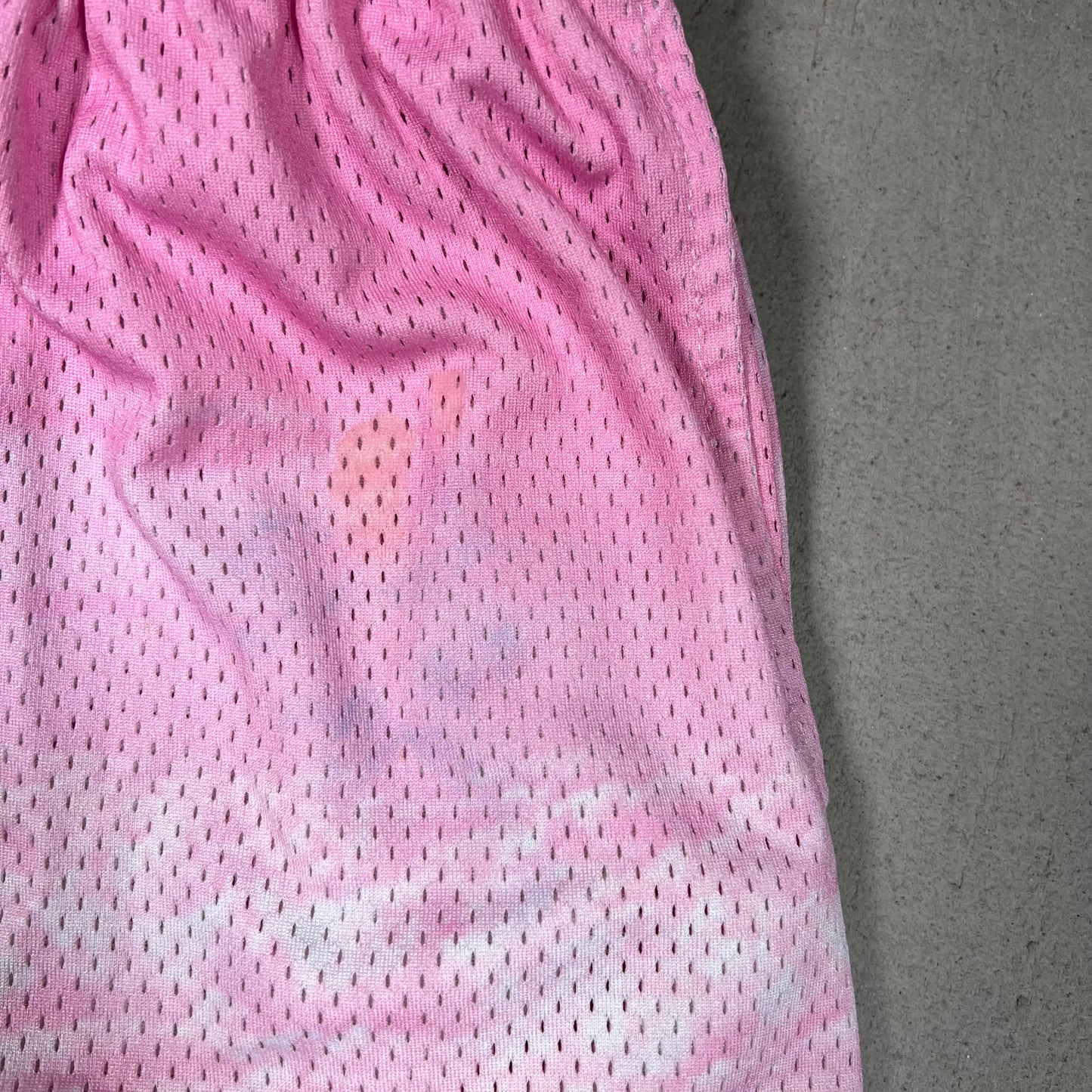 Eric Emanuel Pink Cloud/Blue Logo Shorts Size XXL USED x17812