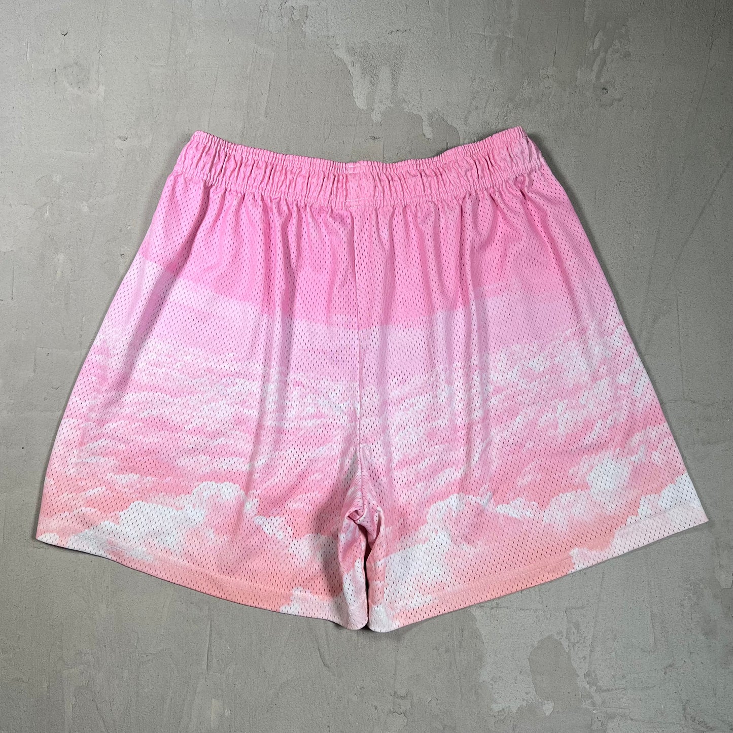 Eric Emanuel Pink Cloud/Blue Logo Shorts Size XXL USED x17812