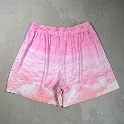 Eric Emanuel Pink Cloud/Blue Logo Shorts Size XXL USED x17812