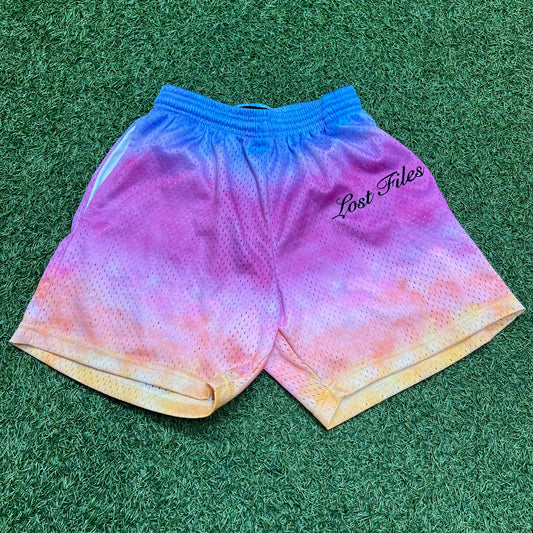 Lost Files Rainbow Shorts Size Small USED v15368