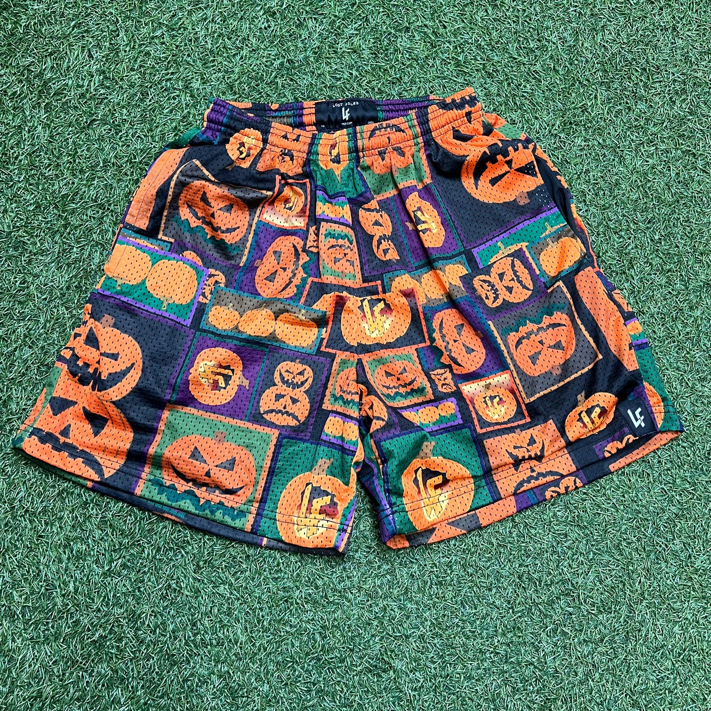 Lost Files Pumpkin Shorts Size Medium USED v15380