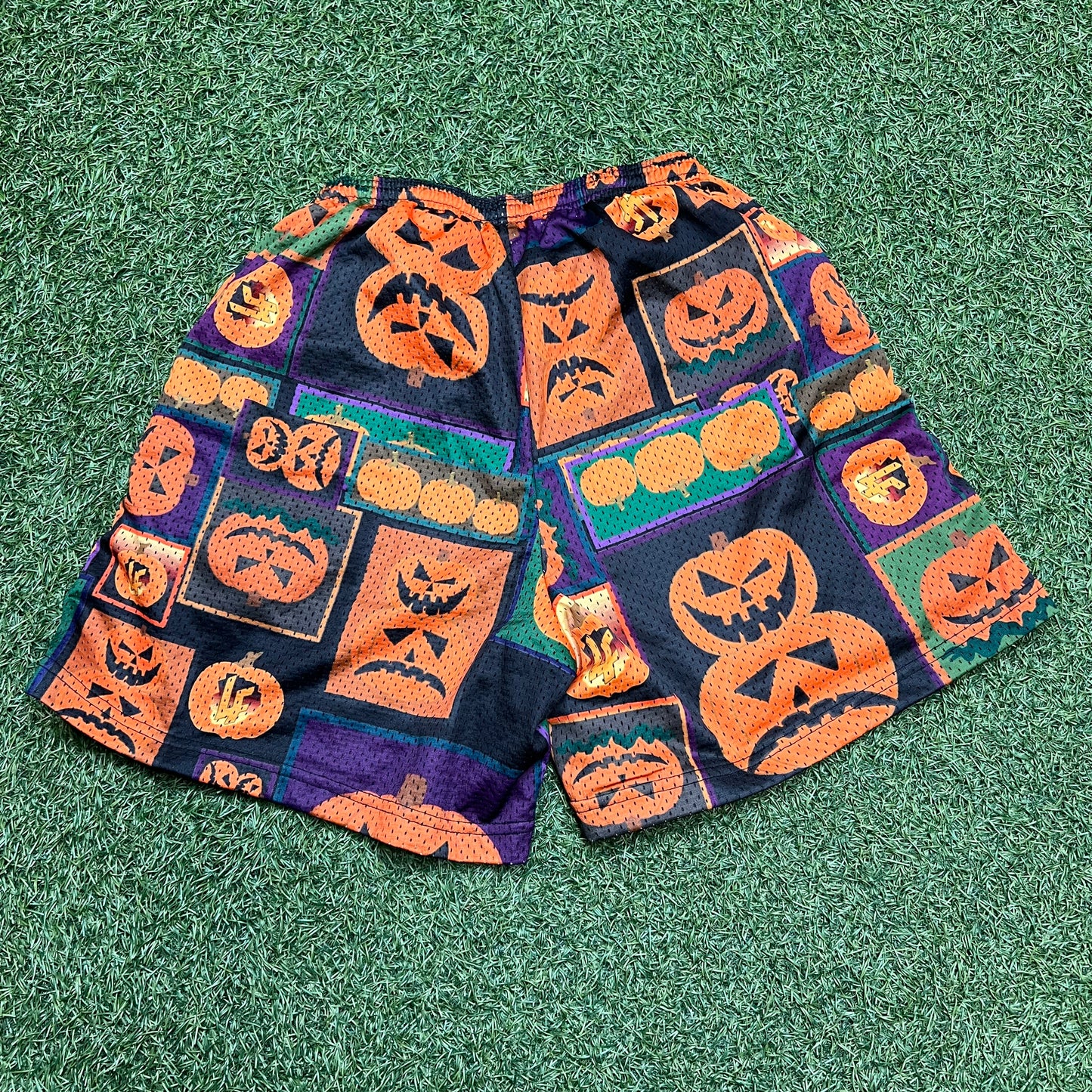 Lost Files Pumpkin Shorts Size Medium USED v15380