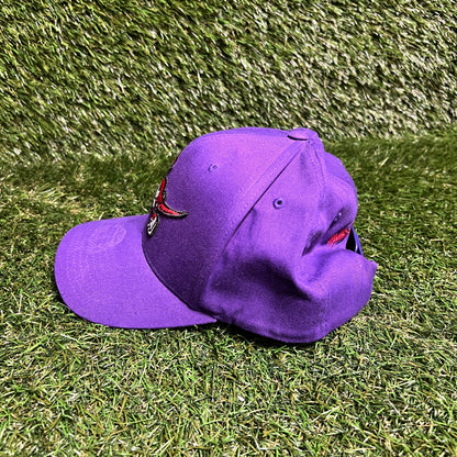 Mitchell & Ness Toronto Raptors Purple Hat Size One Size USED v15954