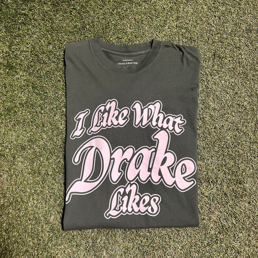 IAAB 'I Like What Drake Likes' Green Tee Size XL USED x8453