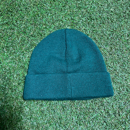 Supreme Beanie Green Glitter USED x11686