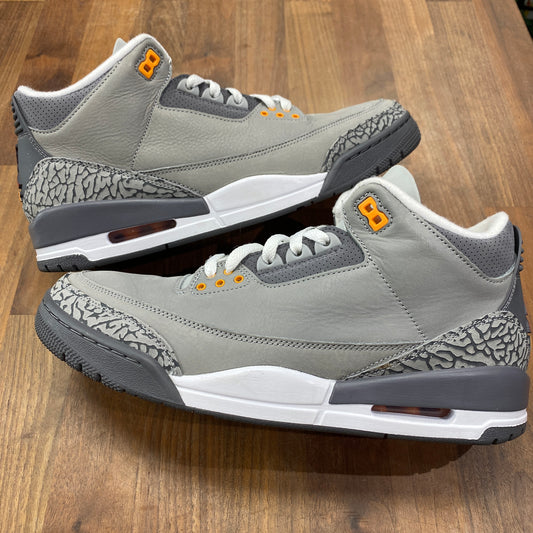 Jordan 3 Cool Grey (2021) Size 11 USED s14415