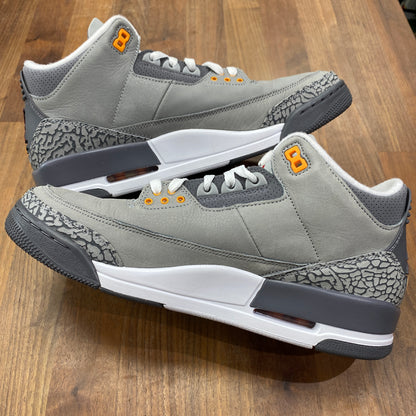 Jordan 3 Cool Grey (2021) Size 11 USED s14415