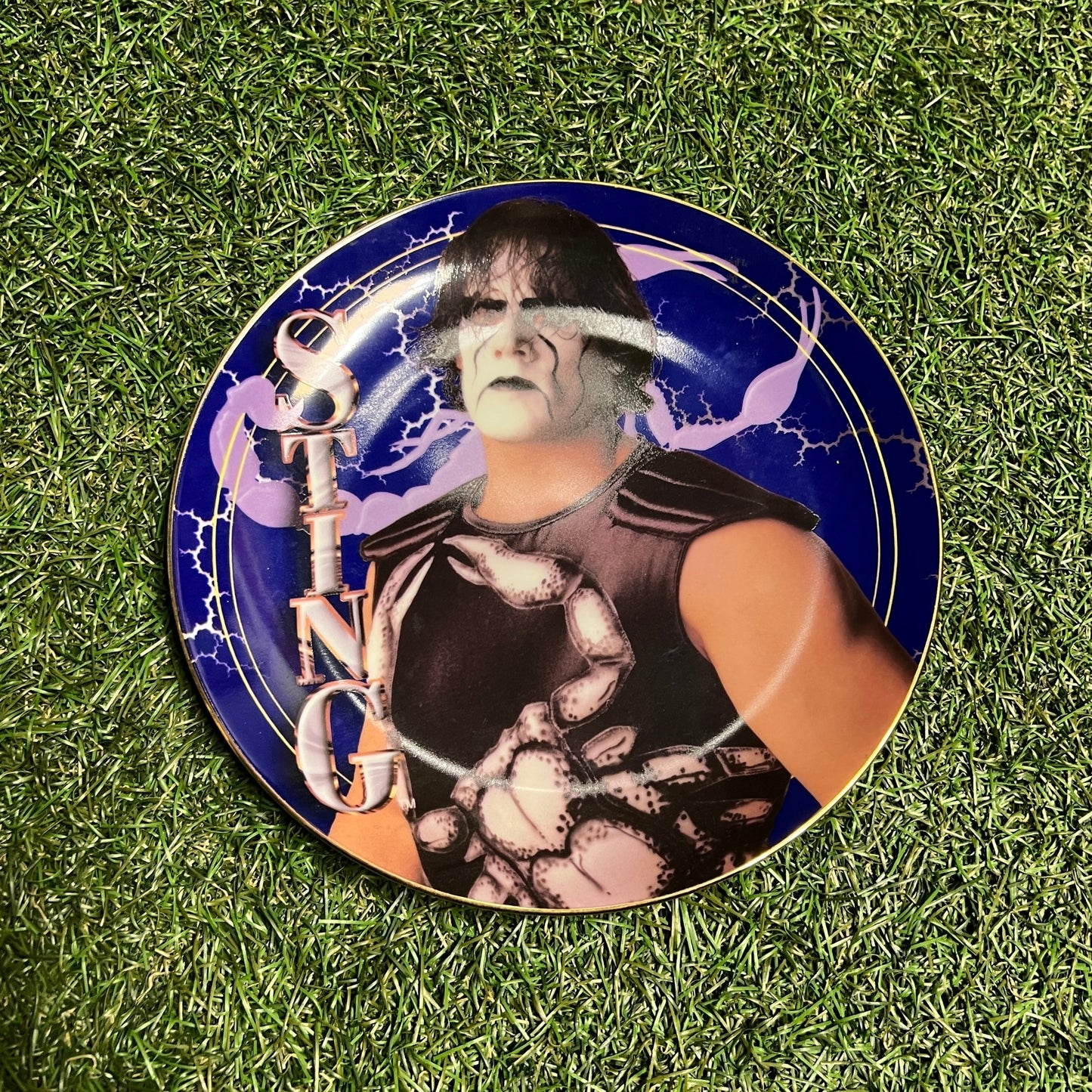 WWF Sting Promo 1998 Glass Plate NEW v2463